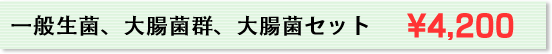一般生菌、大腸菌群、大腸菌セット　\4,200