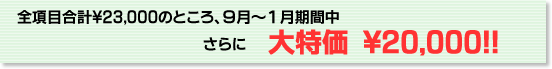 全項目合計\23,000のところ、9月～1月期間中　さらに　大特価　\20,000!!